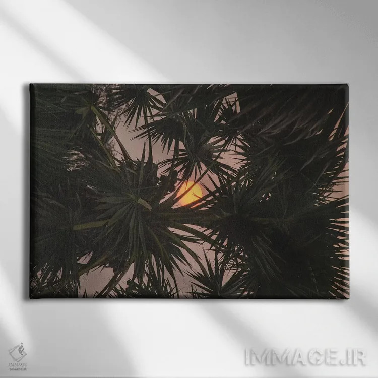 تابلو دکوراتیو سییم ریپ اثر لوک آنتونی گرم - نمای روبهرو روی دیوار