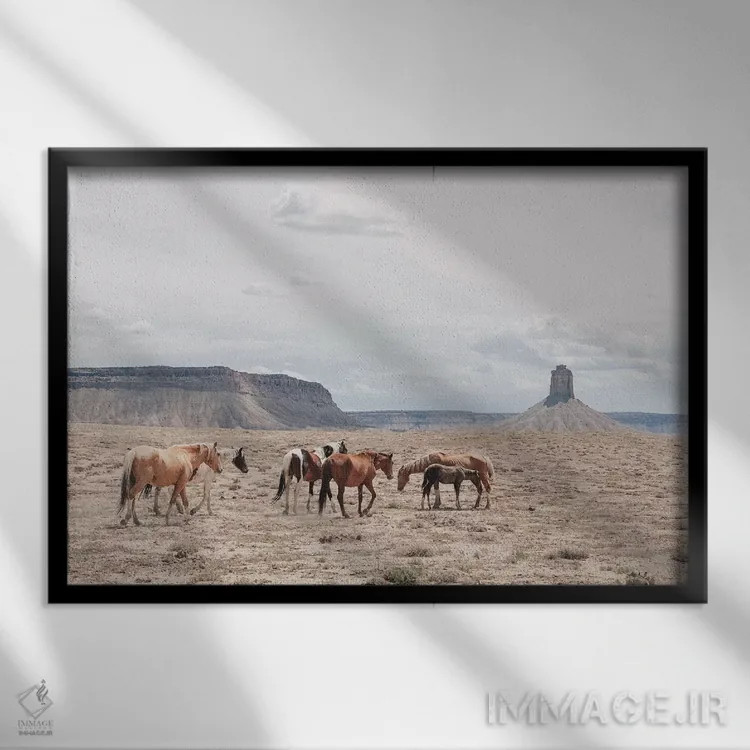 تابلو دکوراتیو آریزونا اثر لوک آنتونی گرم - نمای قابدار مشکی