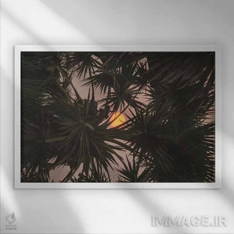 تابلو دکوراتیو سییم ریپ اثر لوک آنتونی گرم - نمای قابدار سفید