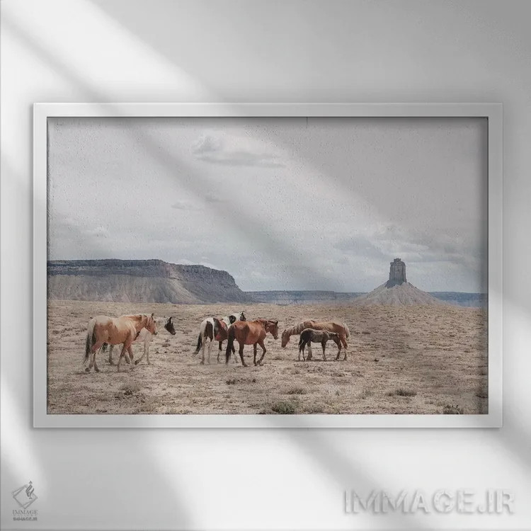 تابلو دکوراتیو آریزونا اثر لوک آنتونی گرم - نمای قابدار سفید