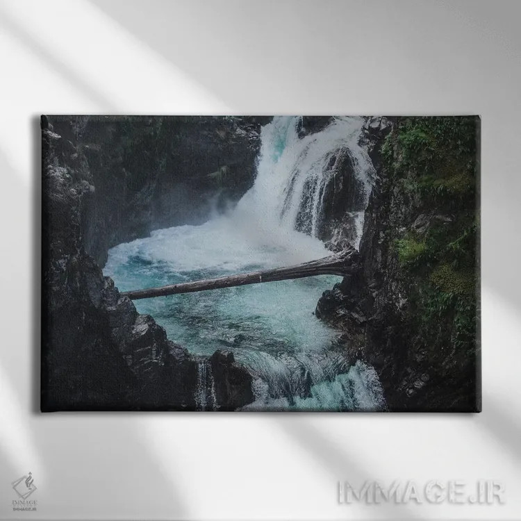 تابلو دکوراتیو کوالیکم اثر لوک آنتونی گرم - نمای روبهرو روی دیوار