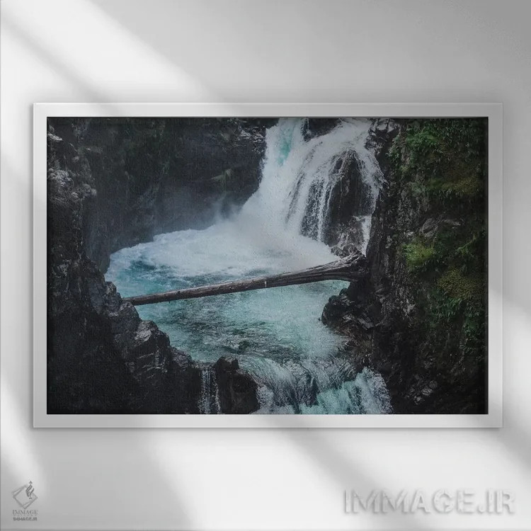 تابلو دکوراتیو کوالیکم اثر لوک آنتونی گرم - نمای قابدار سفید