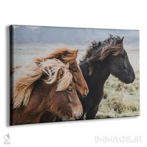 تابلو دکوراتیو منطقه شرقی، ایسلند اثر لوک آنتونی گرم - نمای پرسپکتیو محصول