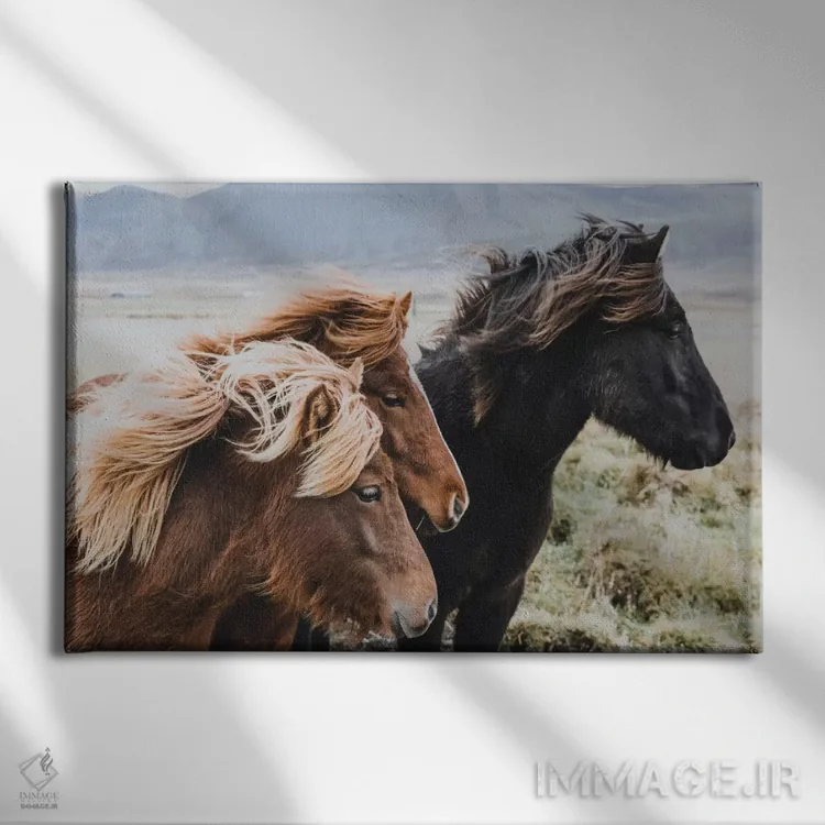 تابلو دکوراتیو منطقه شرقی، ایسلند اثر لوک آنتونی گرم - نمای روبهرو روی دیوار