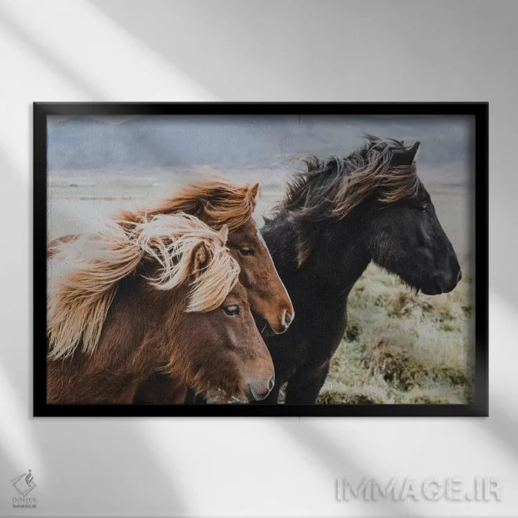 تابلو دکوراتیو منطقه شرقی، ایسلند اثر لوک آنتونی گرم - نمای قابدار مشکی