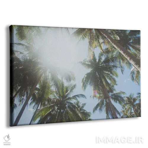 تابلو دکوراتیو ال نیدو، فیلیپین اثر لوک آنتونی گرم - نمای پرسپکتیو محصول