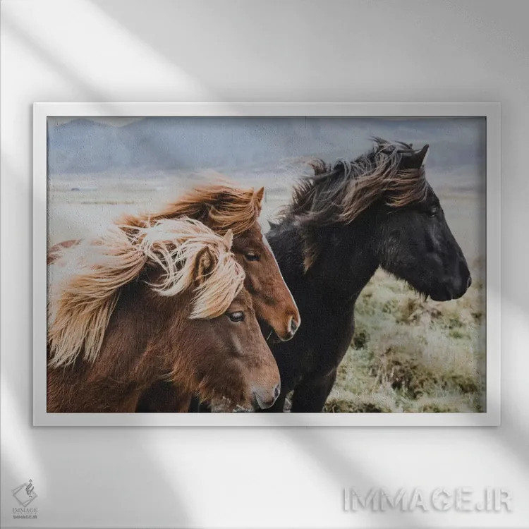 تابلو دکوراتیو منطقه شرقی، ایسلند اثر لوک آنتونی گرم - نمای قابدار سفید