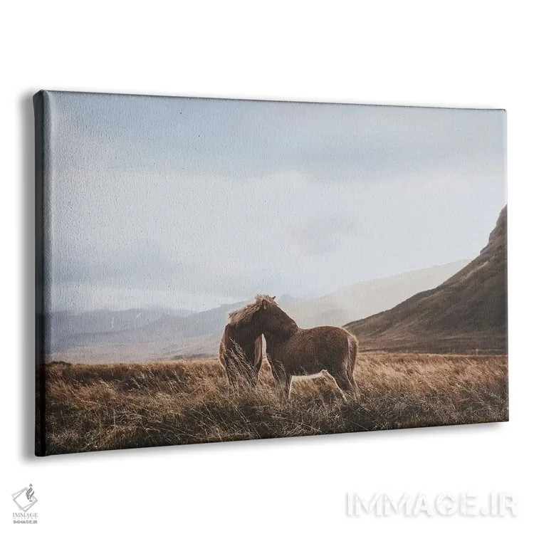 تابلو دکوراتیو ایسلند اثر لوک آنتونی گرم - نمای پرسپکتیو محصول