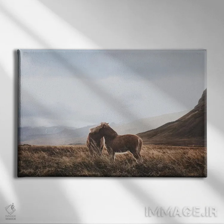 تابلو دکوراتیو ایسلند اثر لوک آنتونی گرم - نمای روبهرو روی دیوار