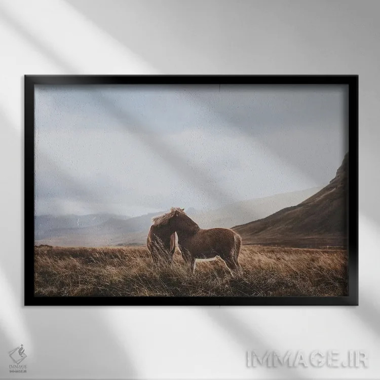 تابلو دکوراتیو ایسلند اثر لوک آنتونی گرم - نمای قابدار مشکی