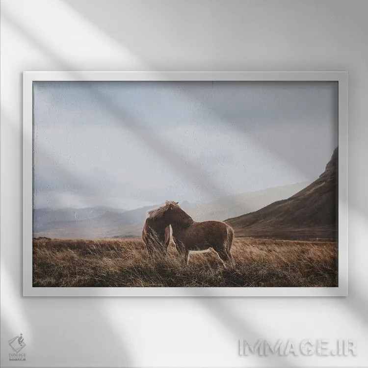 تابلو دکوراتیو ایسلند اثر لوک آنتونی گرم - نمای قابدار سفید