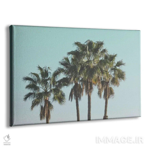 تابلو دکوراتیو لس آنجلس اثر لوک آنتونی گرم - نمای پرسپکتیو محصول