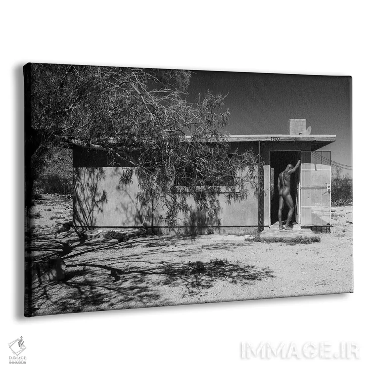 تابلو دکوراتیو کورتلند در خانه اثر گرگوری پرسکات - نمای پرسپکتیو محصول