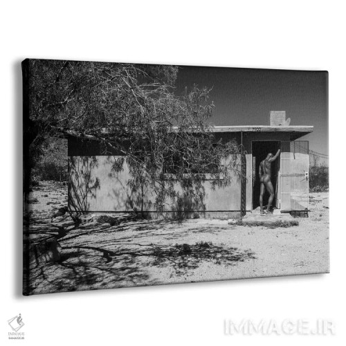 تابلو دکوراتیو کورتلند در خانه اثر گرگوری پرسکات - نمای پرسپکتیو محصول