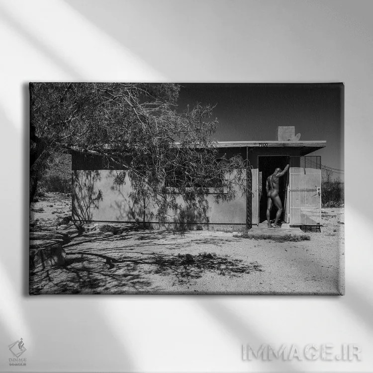 تابلو دکوراتیو کورتلند در خانه اثر گرگوری پرسکات - نمای روبهرو روی دیوار