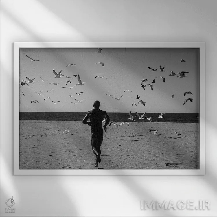 تابلو دکوراتیو ویکتور همراه پرندگان اثر گرگوری پرسکات - نمای قابدار سفید