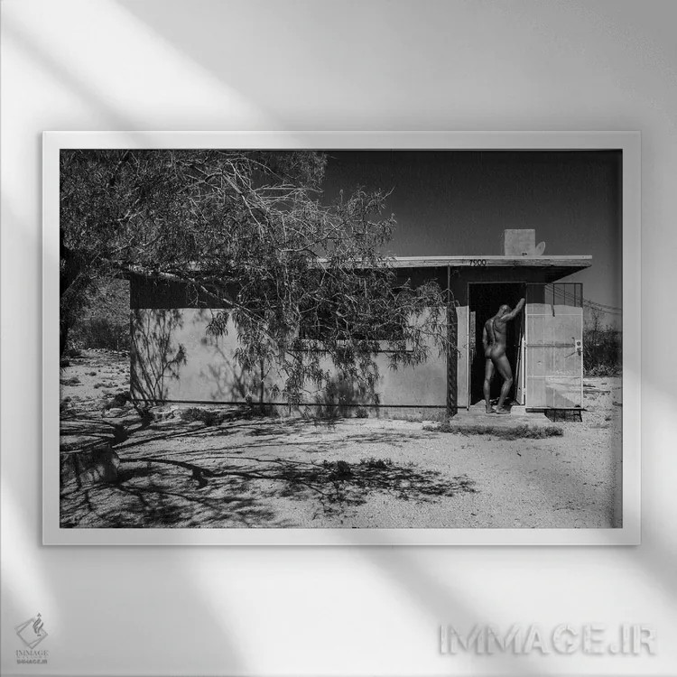 تابلو دکوراتیو کورتلند در خانه اثر گرگوری پرسکات - نمای قابدار سفید