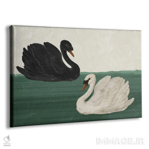 تابلو دکوراتیو قوی سیاه قو سفید اثر لورا گریوز - نمای پرسپکتیو محصول