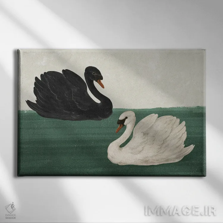 تابلو دکوراتیو قوی سیاه قو سفید اثر لورا گریوز - نمای روبهرو روی دیوار