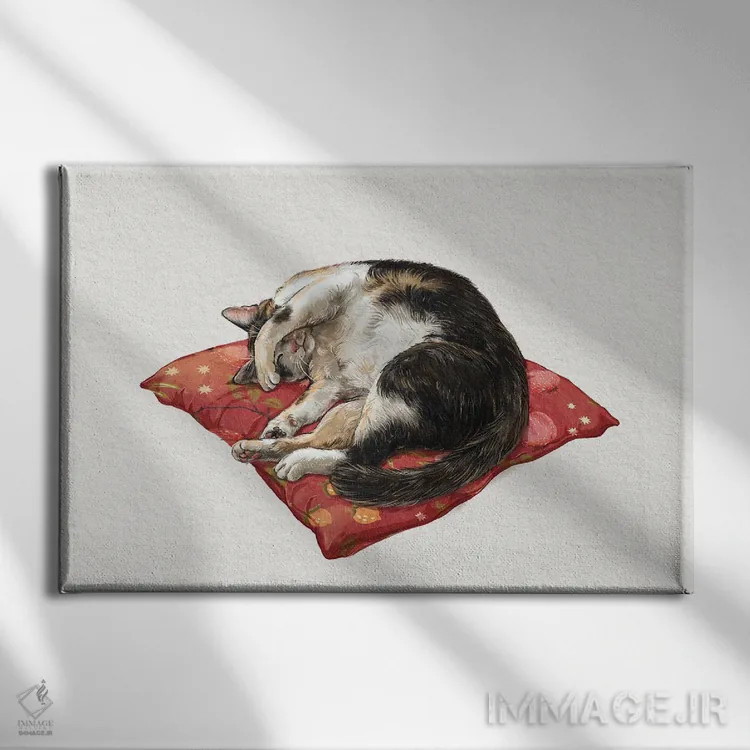 تابلو دکوراتیو گربه خوابیده روشن اثر لورا گریوز - نمای روبهرو روی دیوار