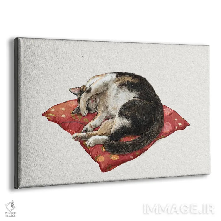 تابلو دکوراتیو گربه خوابیده روشن اثر لورا گریوز - نمای پرسپکتیو محصول