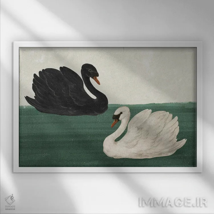 تابلو دکوراتیو قوی سیاه قو سفید اثر لورا گریوز - نمای قابدار سفید