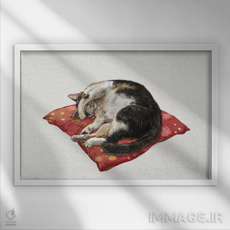 تابلو دکوراتیو گربه خوابیده روشن اثر لورا گریوز - نمای قابدار سفید