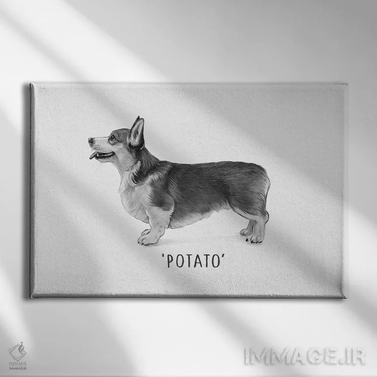 تابلو دکوراتیو کورگی سیب زمینی اثر لورا گریوز - نمای روبهرو روی دیوار