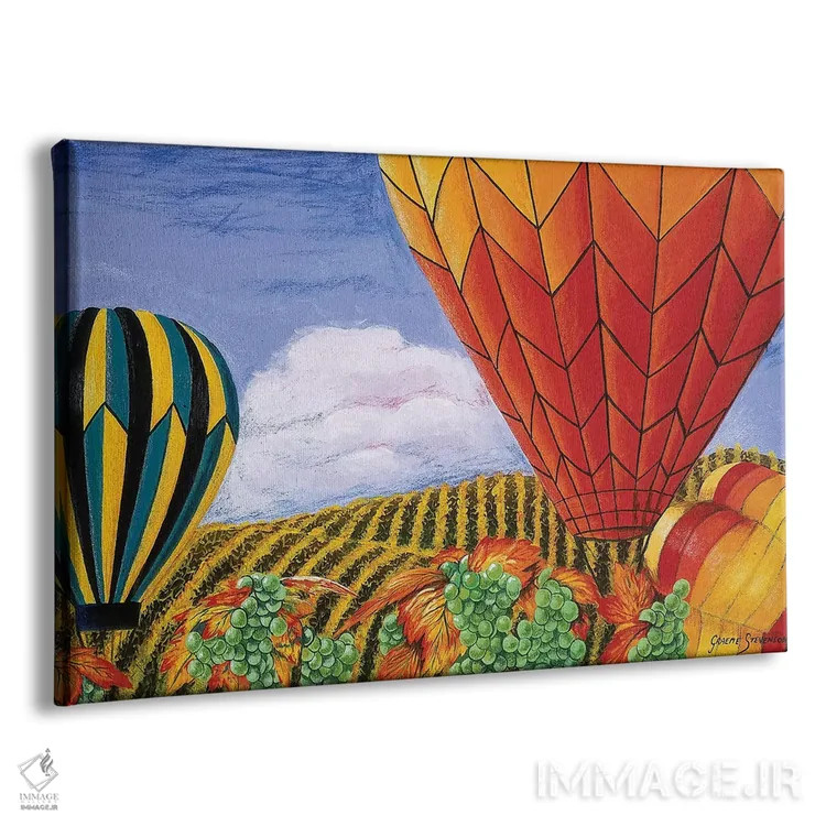 تابلو دکوراتیو بادکنک های کالیفرنیا اثر گرائیم استیونسون - نمای پرسپکتیو محصول