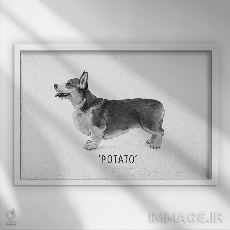 تابلو دکوراتیو کورگی سیب زمینی اثر لورا گریوز - نمای قابدار سفید