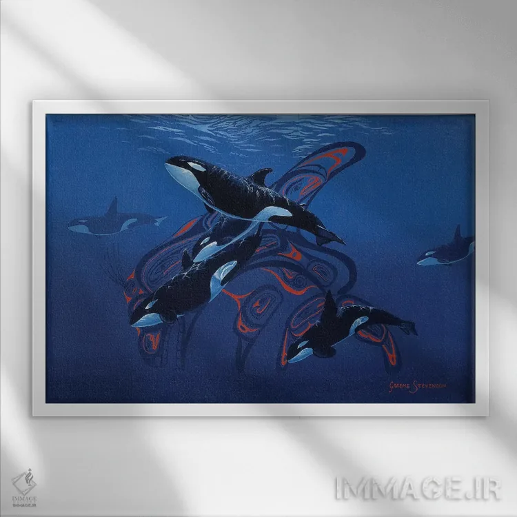 تابلو دکوراتیو نهنگ های قاتل آبی اثر گرائیم استیونسون - نمای قابدار سفید