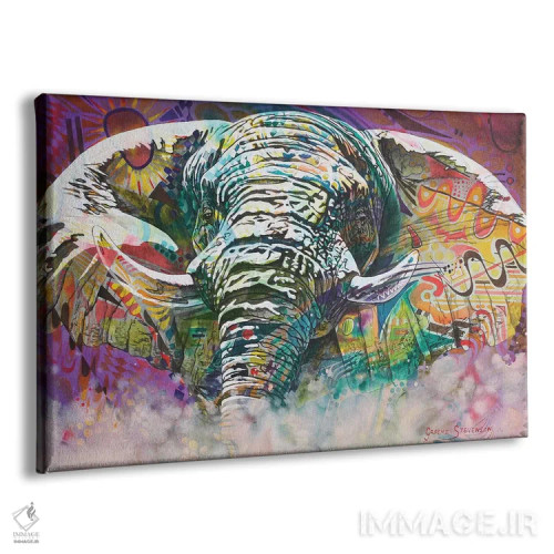 تابلو دکوراتیو فیل سایکدلیک اثر گرائیم استیونسون - نمای پرسپکتیو محصول