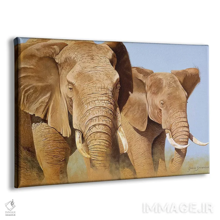 تابلو دکوراتیو کشتی دادگاه اثر گرائیم استیونسون - نمای پرسپکتیو محصول