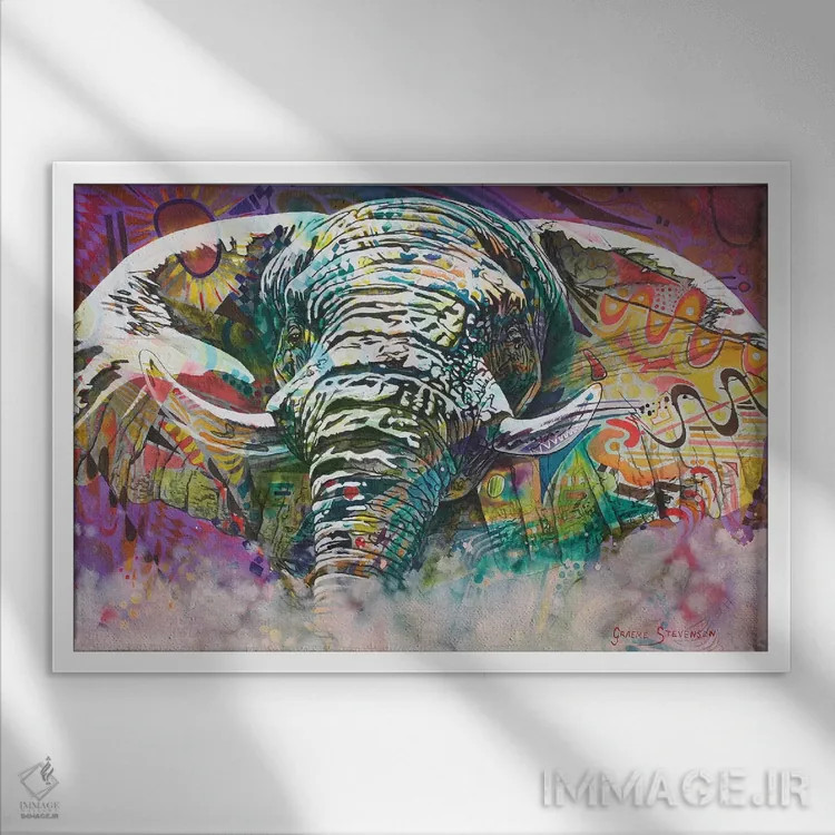 تابلو دکوراتیو فیل سایکدلیک اثر گرائیم استیونسون - نمای قابدار سفید