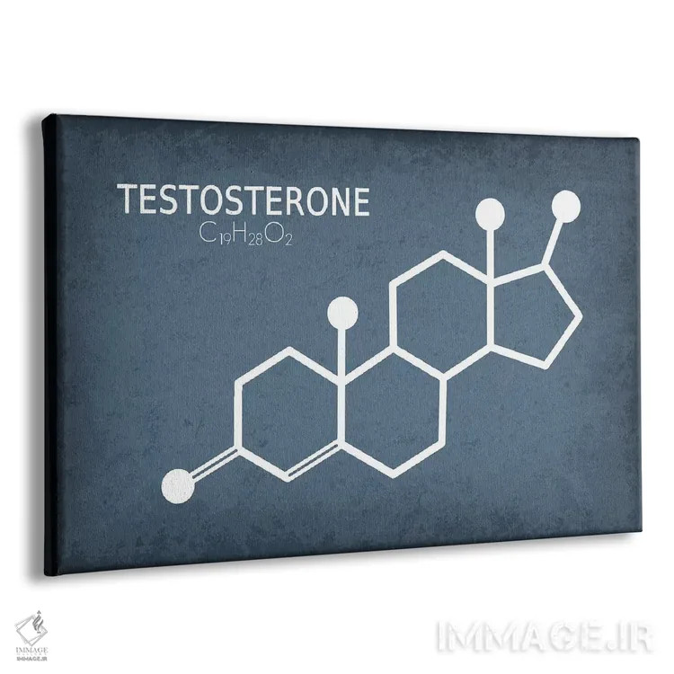 تابلو دکوراتیو مولکول تستوسترون اثر گت یور نرد آن - نمای پرسپکتیو محصول