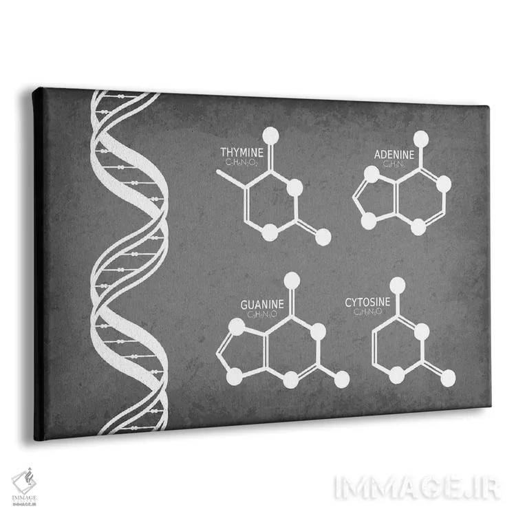 تابلو دکوراتیو رشته DNA همراه با مولکول های نوکلئوتید اثر گت یور نرد آن - نمای پرسپکتیو محصول
