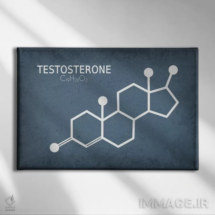 تابلو دکوراتیو مولکول تستوسترون اثر گت یور نرد آن - نمای روبهرو روی دیوار
