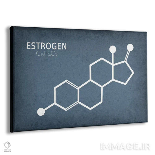 تابلو دکوراتیو مولکول استروژن اثر گت یور نرد آن - نمای پرسپکتیو محصول