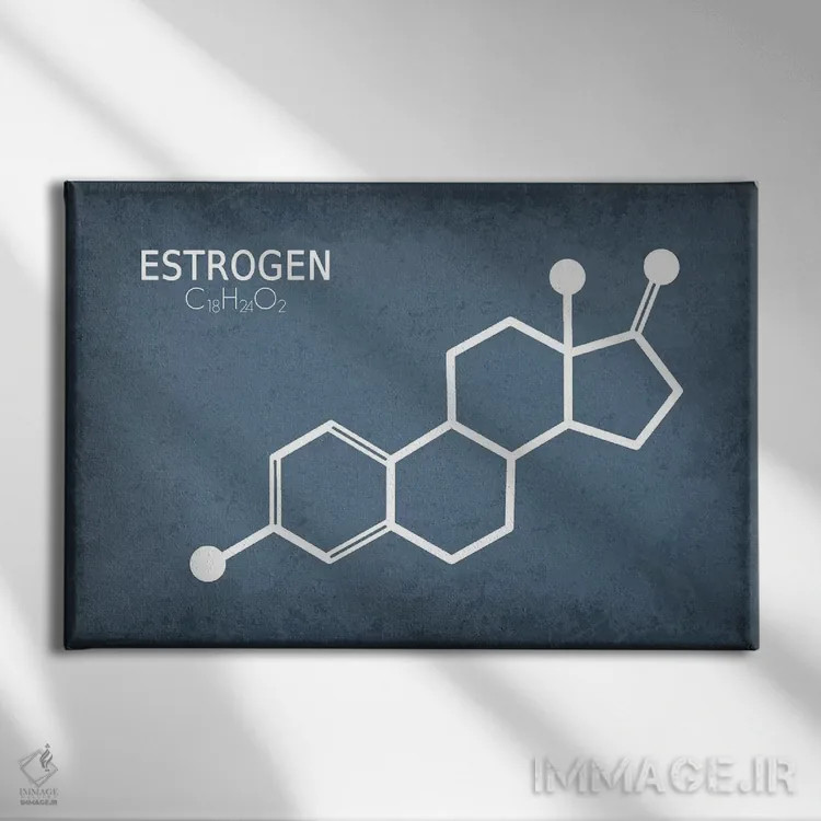 تابلو دکوراتیو مولکول استروژن اثر گت یور نرد آن - نمای روبهرو روی دیوار