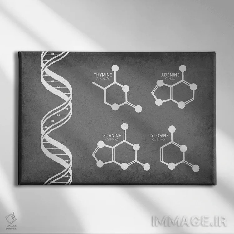 تابلو دکوراتیو رشته DNA همراه با مولکول های نوکلئوتید اثر گت یور نرد آن - نمای روبهرو روی دیوار