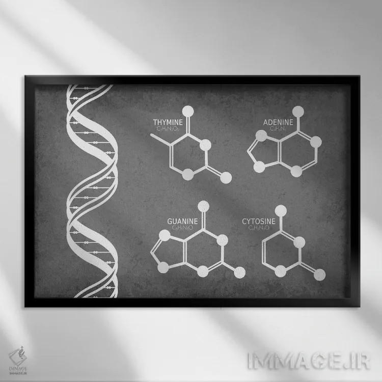 تابلو دکوراتیو رشته DNA همراه با مولکول های نوکلئوتید اثر گت یور نرد آن - نمای قابدار مشکی