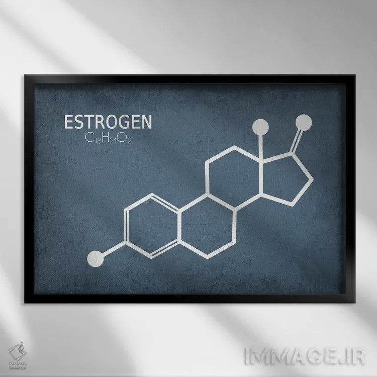 تابلو دکوراتیو مولکول استروژن اثر گت یور نرد آن - نمای قابدار مشکی