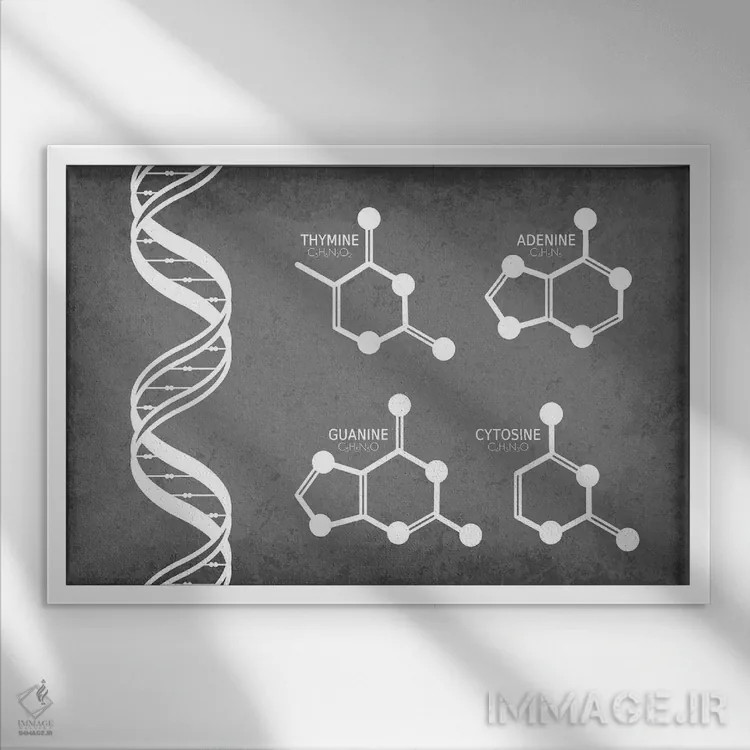 تابلو دکوراتیو رشته DNA همراه با مولکول های نوکلئوتید اثر گت یور نرد آن - نمای قابدار سفید