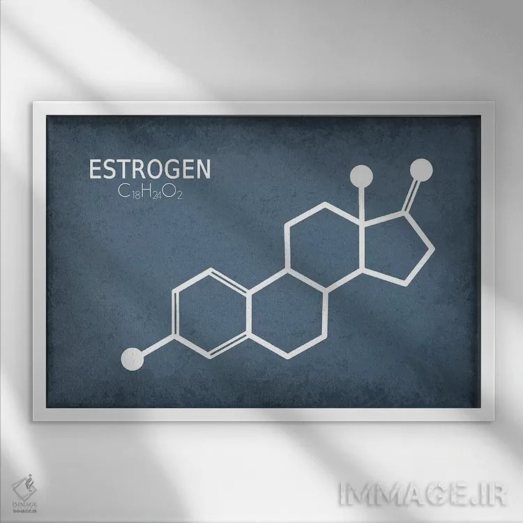 تابلو دکوراتیو مولکول استروژن اثر گت یور نرد آن - نمای قابدار سفید