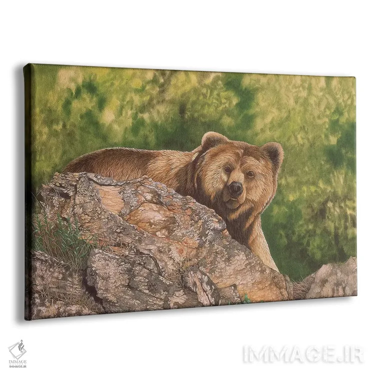 تابلو دکوراتیو متعجب اثر گرائیم استیونسون - نمای پرسپکتیو محصول