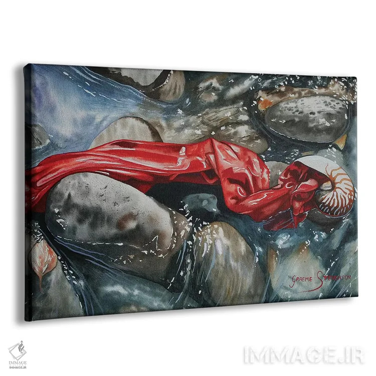 تابلو دکوراتیو چکه سرخ اثر گرائیم استیونسون - نمای پرسپکتیو محصول