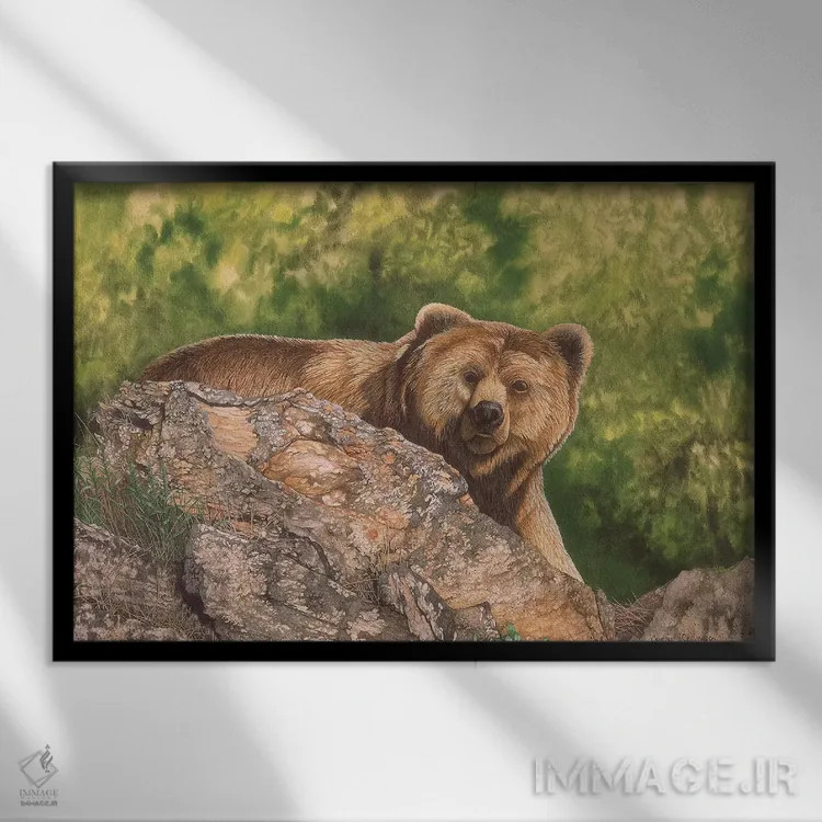 تابلو دکوراتیو متعجب اثر گرائیم استیونسون - نمای قابدار مشکی