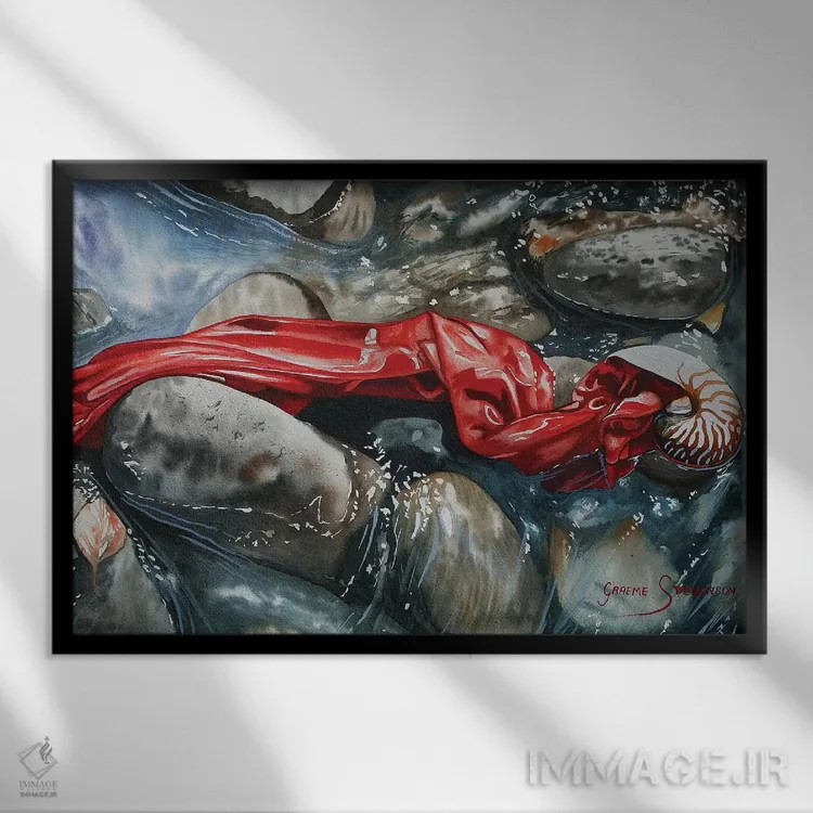 تابلو دکوراتیو چکه سرخ اثر گرائیم استیونسون - نمای قابدار مشکی