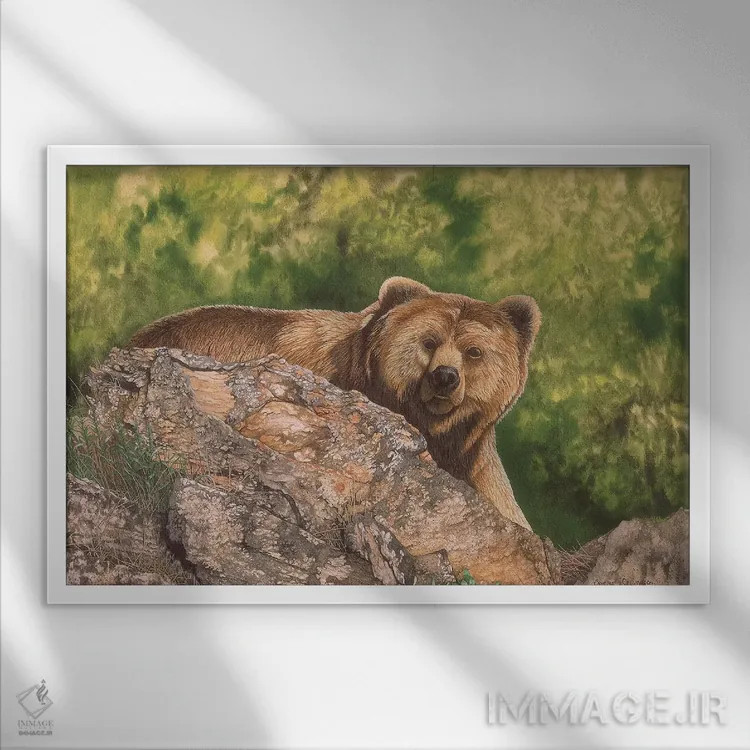 تابلو دکوراتیو متعجب اثر گرائیم استیونسون - نمای قابدار سفید