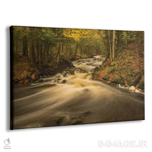 تابلو دکوراتیو Michigan. Fall Colors, Stream,آمریکا، میشیگان، رنگ های پایی… اثر جورج تئودور - نمای پرسپکتیو محصول